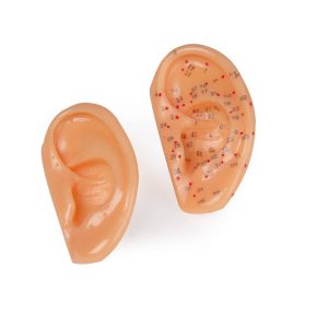 Acupunctuur Oor Set