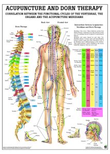 Acupunctuur en Dorn-Therapie Poster