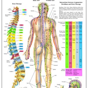 Acupunctuur en Dorn-Therapie Poster