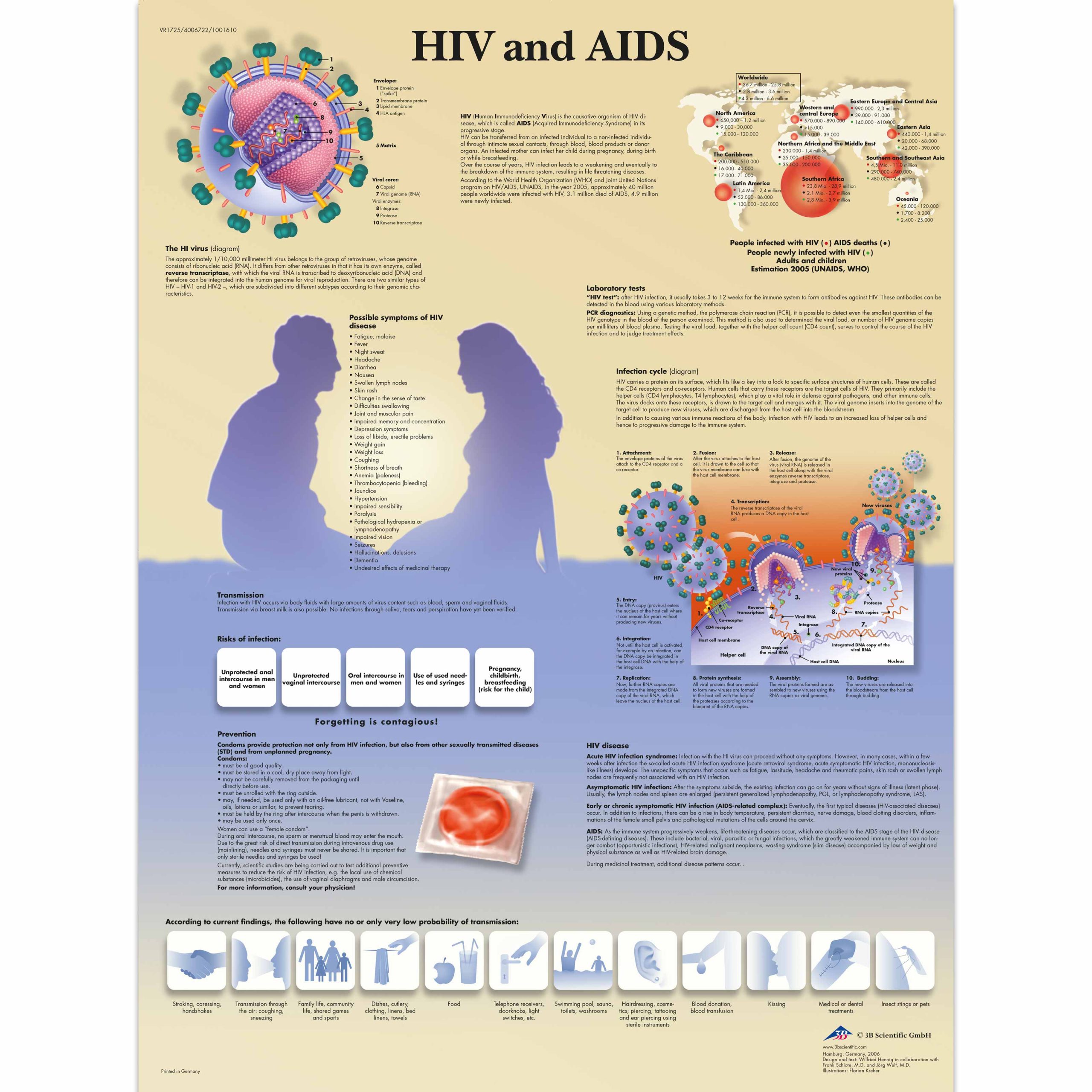Anatomie Poster Aids & HIV