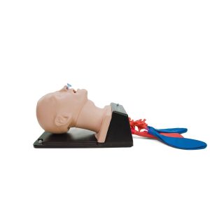 AirSim Combo Bronchi X