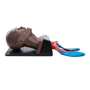 AirSim Combo Bronchi X