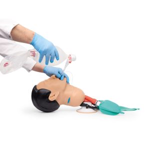 Airway Management Trainingsmodel