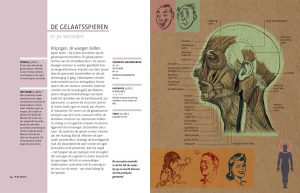 Boek Anatomie - Essentiële Kennis in 30 Seconden