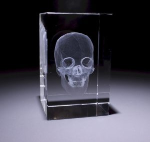 Anatomie Glasblok Schedel