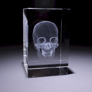 Anatomie Glasblok Schedel
