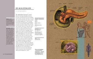 Boek Anatomie - Essentiële Kennis in 30 Seconden