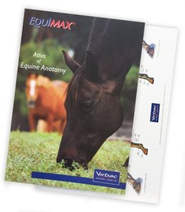 Anatomische Atlas van het Paard