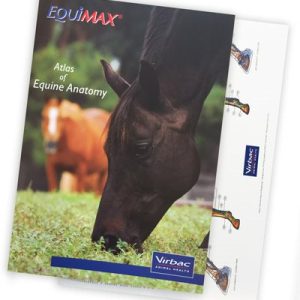 Anatomische Atlas van het Paard