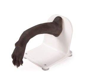 Bandage Trainer Hondenpoot