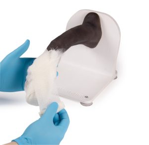 Bandage Trainer Hondenpoot