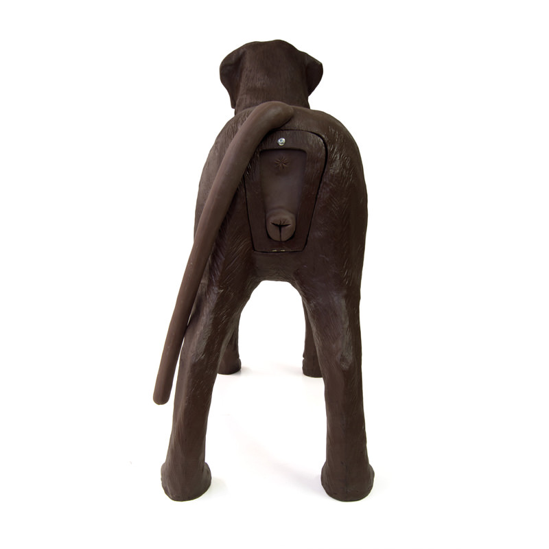 Gynaecologische Trainingshond Bella