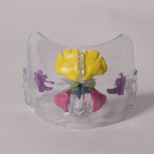 Bijholtes