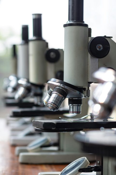 Biologie Experimenten Sets