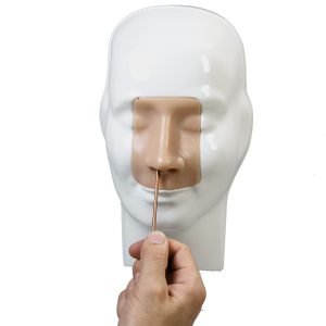 Bloedneus Trainer