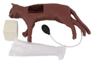 Reanimatie Trainer Kat