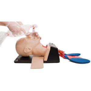 AirSim Combo Bronchi X