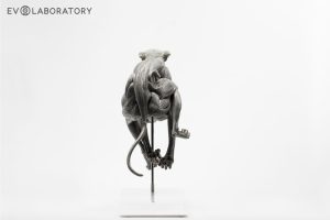Anatomisch Model Hond Deluxe