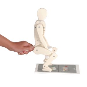 Demonstratie Figuur Correct en Verkeerd Tillen