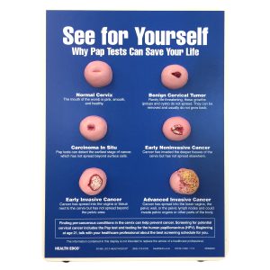 Pap-test Display