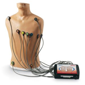ECG Trainingsmodel
