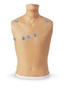 ECG Trainingsmodel