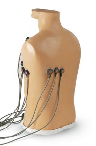 ECG Trainingsmodel