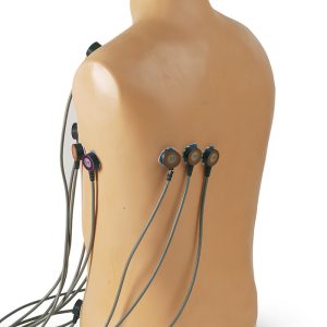 ECG Trainingsmodel