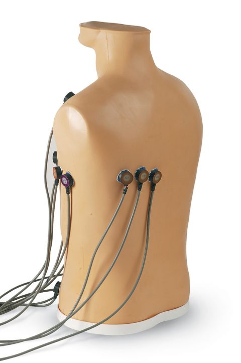 ECG Trainingsmodel