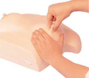 Borstverzorging en Massage Model