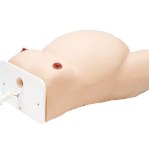ECV Zwangerschapsmodel