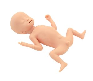 Oefenpop Premature Baby