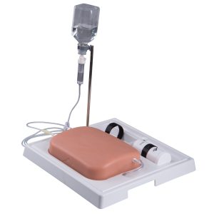 Echografie Trainer Adermodel