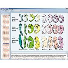Software