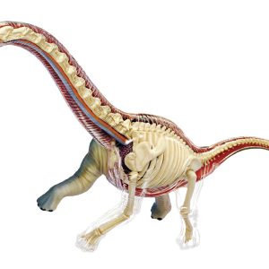 4D Vision Brachiosaurus