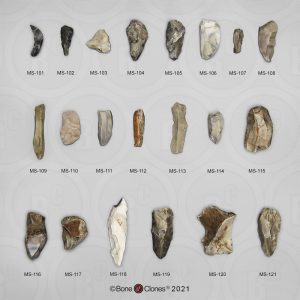 Fossielenset Werktuigen Neanderthalers, 21-delig