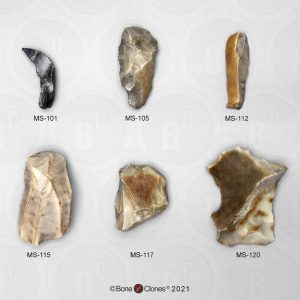 Fossielenset Werktuigen Neanderthalers, 6-delig
