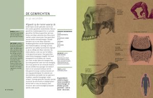 Boek Anatomie - Essentiële Kennis in 30 Seconden
