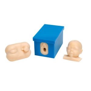 Geboorte Simulatiemodel