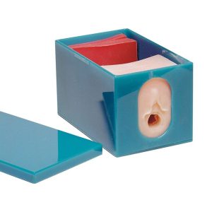 Geboorte Simulatiemodel