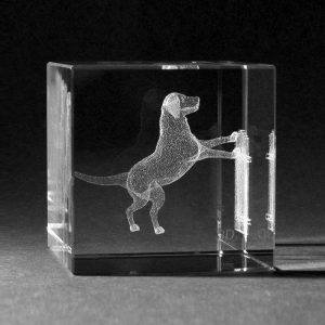 Glasblok Hond