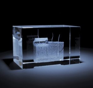Anatomie Glasblok Huid