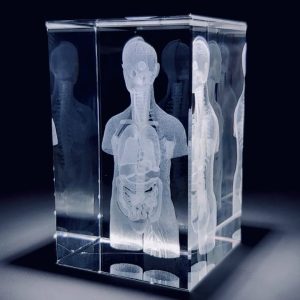 Glasblok Torso
