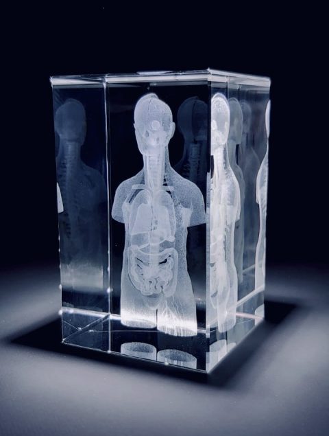 Glasblok Torso