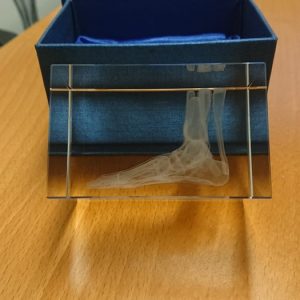 Anatomie Glasblok Voet