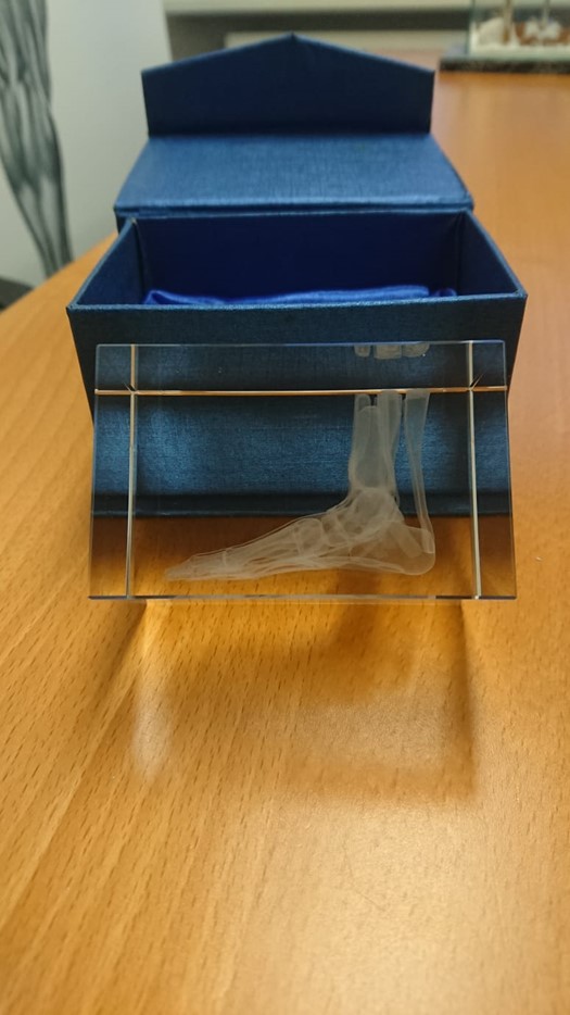 Anatomie Glasblok Voet
