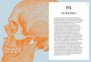 Menselijk Lichaam Puzzelboek