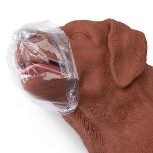 Reanimatie Trainer Hond