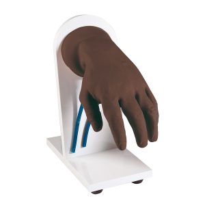 Oefenmodel Intraveneuze Injectie Hand