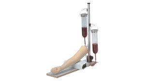 Injectie- en Bloedafname Oefenarm